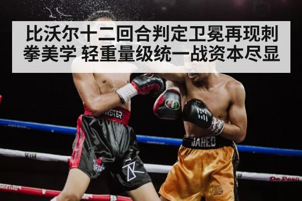 比沃尔十二回合判定卫冕再现刺拳美学 轻重量级统一战资本尽显
